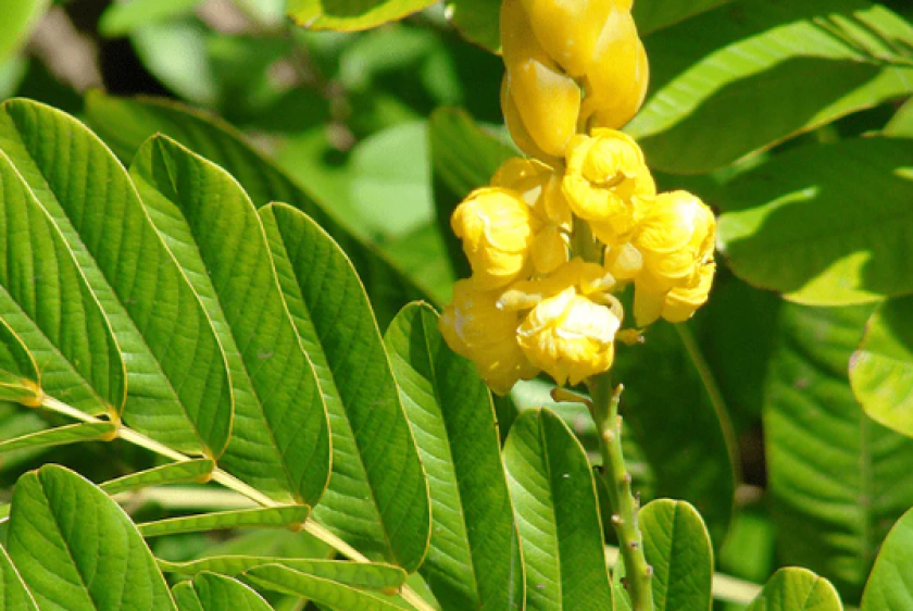 CÔNG TY TNHH DƯỢC MỸ PHẨM BIO-CARE